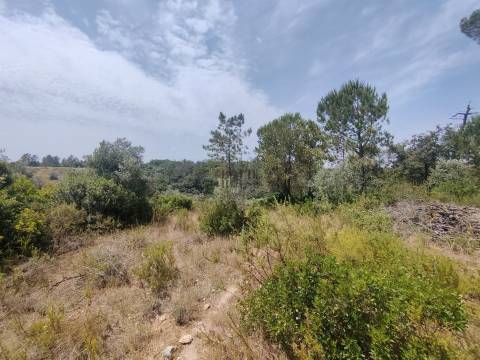 Terreno Rústico  Venda em Azambujeira e Malaqueijo,Rio Maior