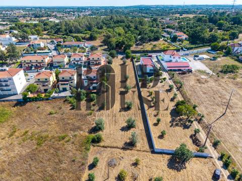 Terreno Para Construção  Venda em Cartaxo e Vale da Pinta,Cartaxo