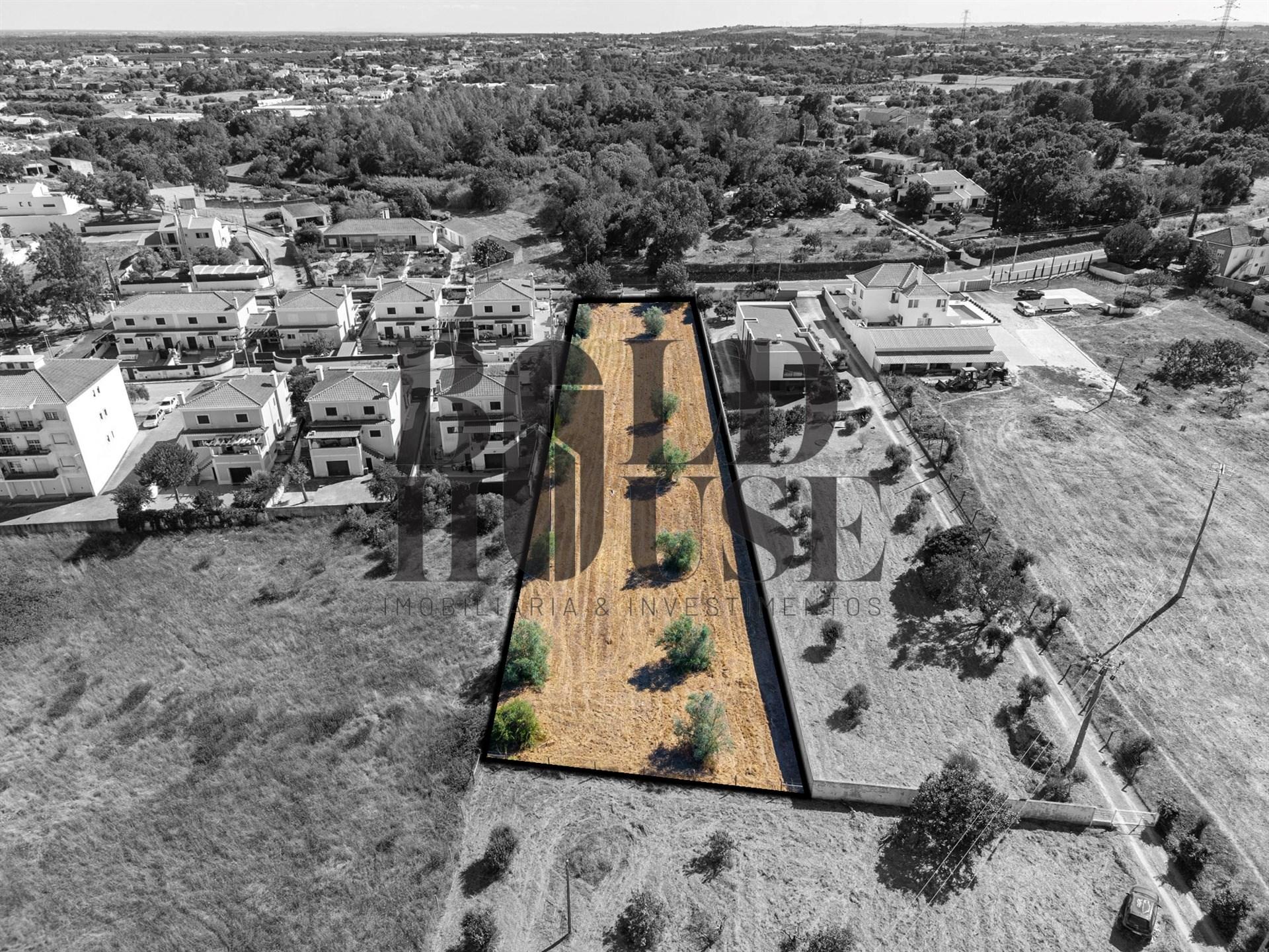 Terreno Para Construção  Venda em Cartaxo e Vale da Pinta,Cartaxo