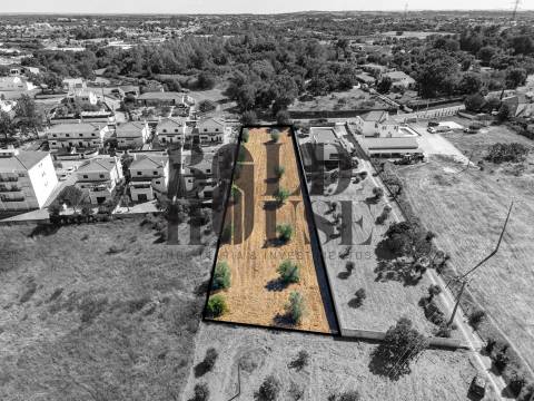 Terreno Para Construção  Venda em Cartaxo e Vale da Pinta,Cartaxo