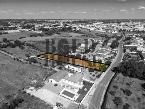 Terreno Para Construção  Venda em Cartaxo e Vale da Pinta,Cartaxo