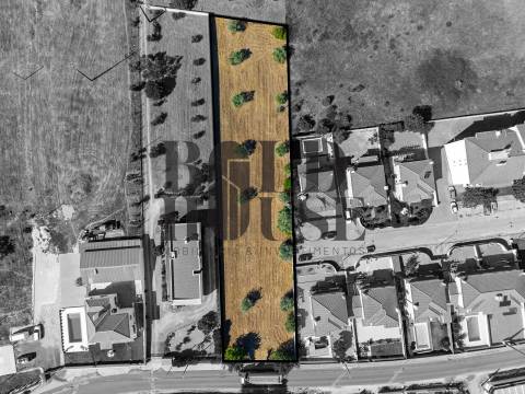Terreno Para Construção  Venda em Cartaxo e Vale da Pinta,Cartaxo