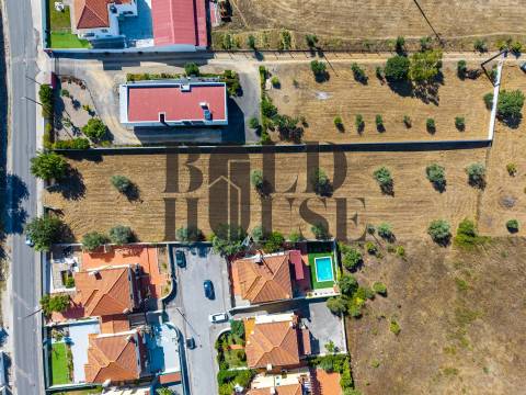Terreno Para Construção  Venda em Cartaxo e Vale da Pinta,Cartaxo