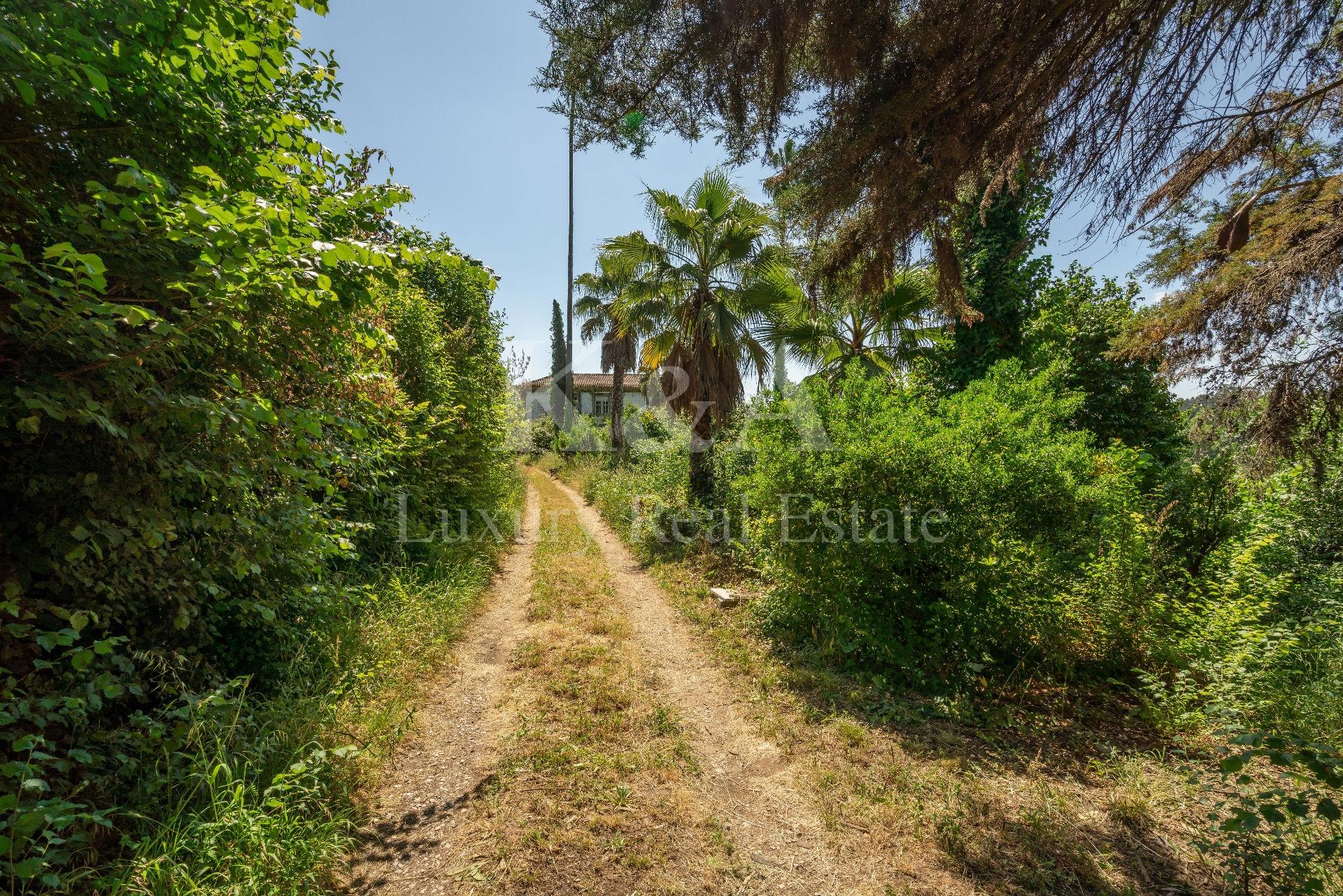 alt