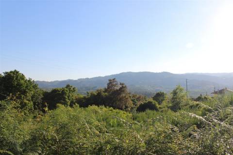 Terreno Para Construção  Venda em Canedo de Basto e Corgo,Celorico de Basto
