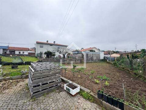 Armazém - Lourosa