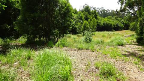Lote de Terreno  Venda em Grijó e Sermonde,Vila Nova de Gaia