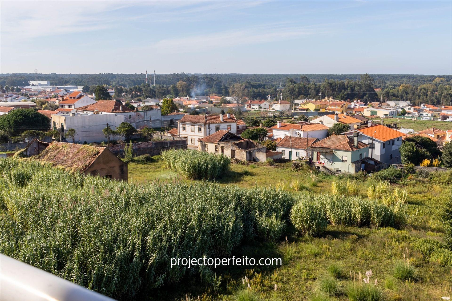 Lote de Terreno  Venda em Cortegaça,Ovar