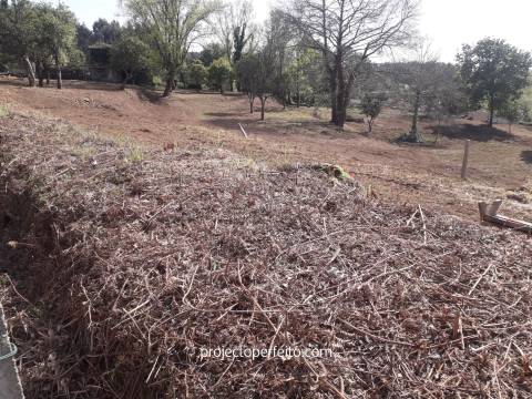 Quinta  Venda em Grijó e Sermonde,Vila Nova de Gaia