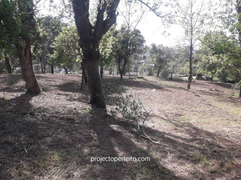Quinta  Venda em Grijó e Sermonde,Vila Nova de Gaia