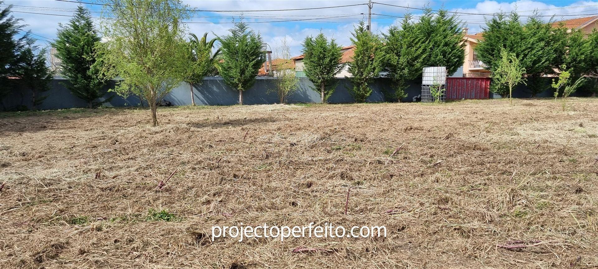 Terreno Para Construção  Venda em Esmoriz,Ovar