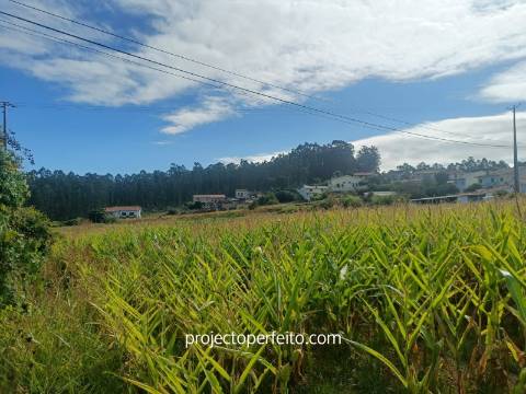 Moradia para Restaurar T2 Venda em Oliveira de Azeméis, Santiago de Riba-Ul, Ul, Macinhata da Seixa e Madail,Oliveira de Azeméis