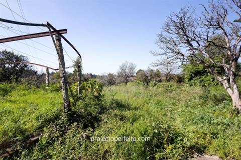 Terreno  Venda em Grijó e Sermonde,Vila Nova de Gaia