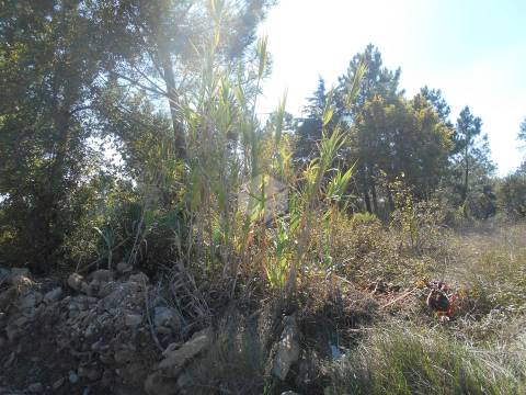 Terreno Urbano para Construção em Alhadas | 1550m² Perto da Cidade