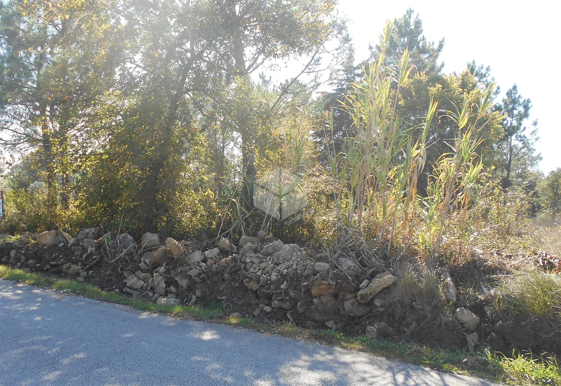Terreno Urbano para Construção em Alhadas | 1550m² Perto da Cidade