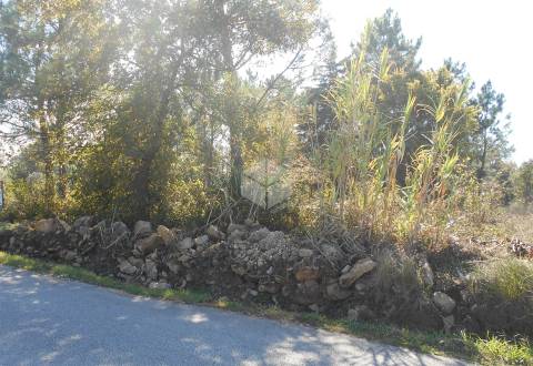 Terreno Urbano para Construção em Alhadas | 1550m² Perto da Cidade