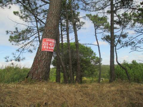 Terreno Rústico na Serra da Boa Viagem | 2118m² com Vista Panorâmica