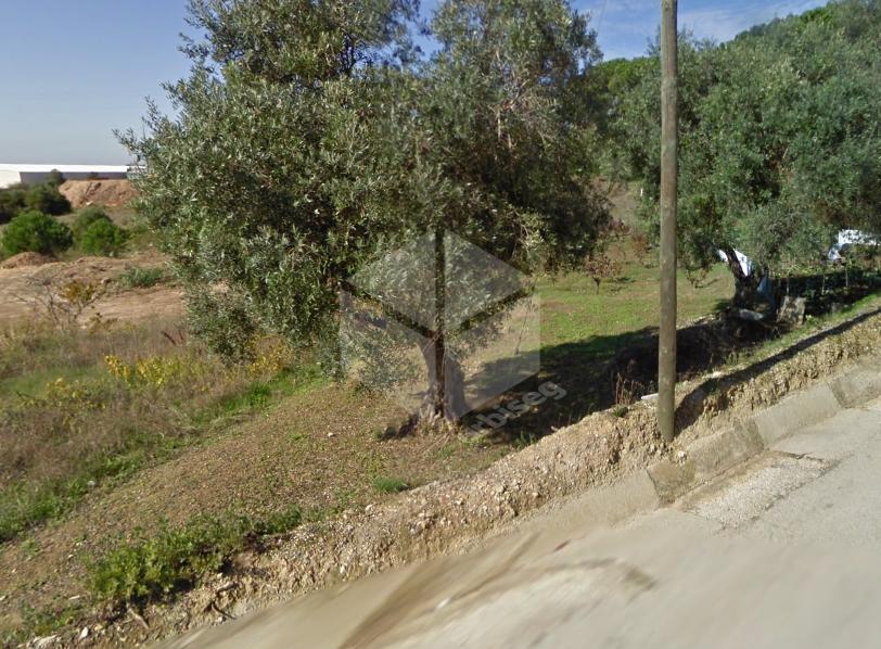 Terreno Urbanizável em Vila Verde | 1150 m² a 5 Minutos da Figueira da Foz | Urbiseg Imobiliária