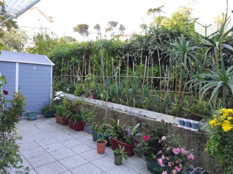 Apartamento T3 na Figueira da Foz com Terraço e Excelente Localização