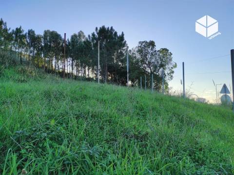 Terreno Urbanizável em Tavarede | 4.412m² | Figueira da Foz