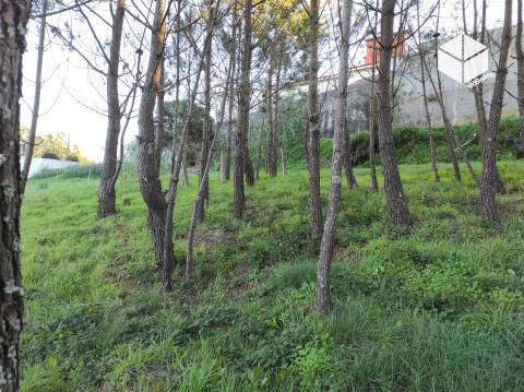 Terreno Urbanizável em Tavarede | 4.412m² | Figueira da Foz
