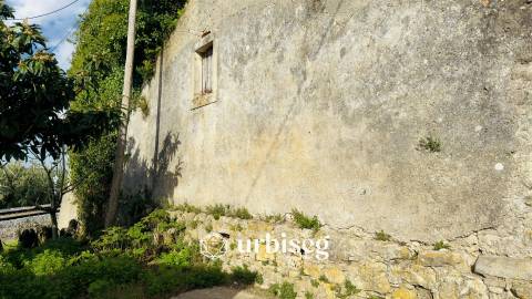 Casa de Adega e Alambique para Reconstrução – Entre Soure e Figueira da Foz