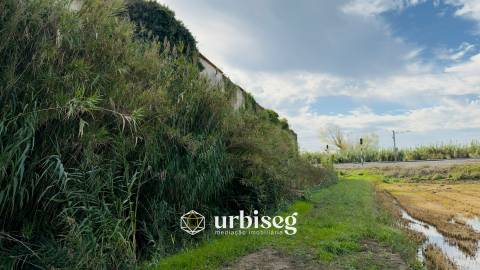 Casa de Adega e Alambique para Reconstrução – Entre Soure e Figueira da Foz