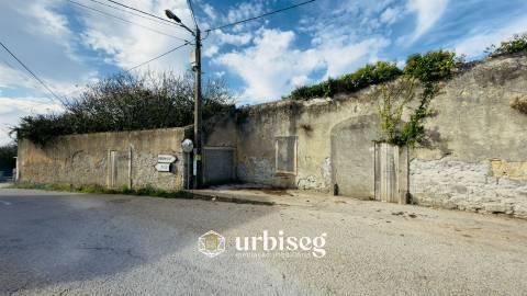 Casa de Adega e Alambique para Reconstrução – Entre Soure e Figueira da Foz