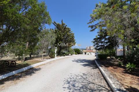 Quinta T4 com Piscina e Frutal perto de Lagoa