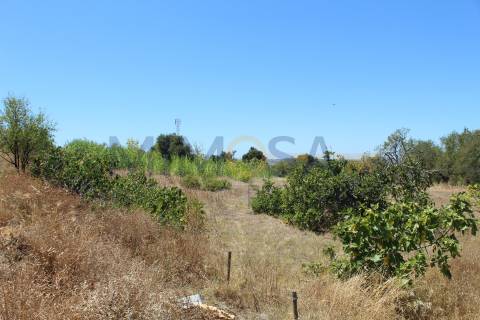 Terreno com Projeto de Loteamento – Chão das Donas, Portimão