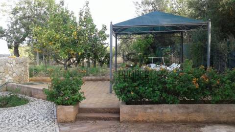 Quinta com Projeto de Turismo Rural Aprovado, Lagos, Algarve