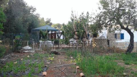 Quinta com Projeto de Turismo Rural Aprovado, Lagos, Algarve