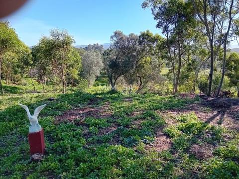 Terreno Agrícola com Vista Mar – Cabeço de Águia, Rogil (Aljezur)