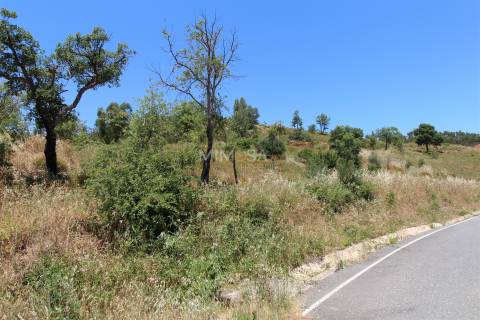 Terreno Misto com Ruína para Reconstrução em Monchique