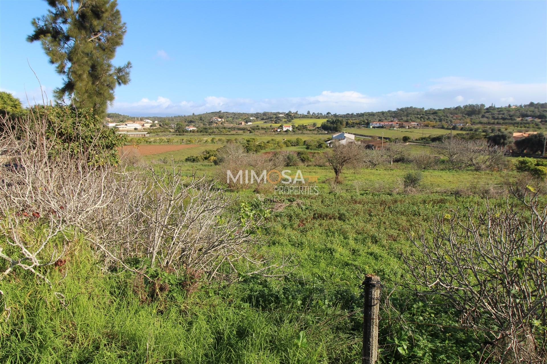 Lote para construção em Sargaçal com vistas bonitas