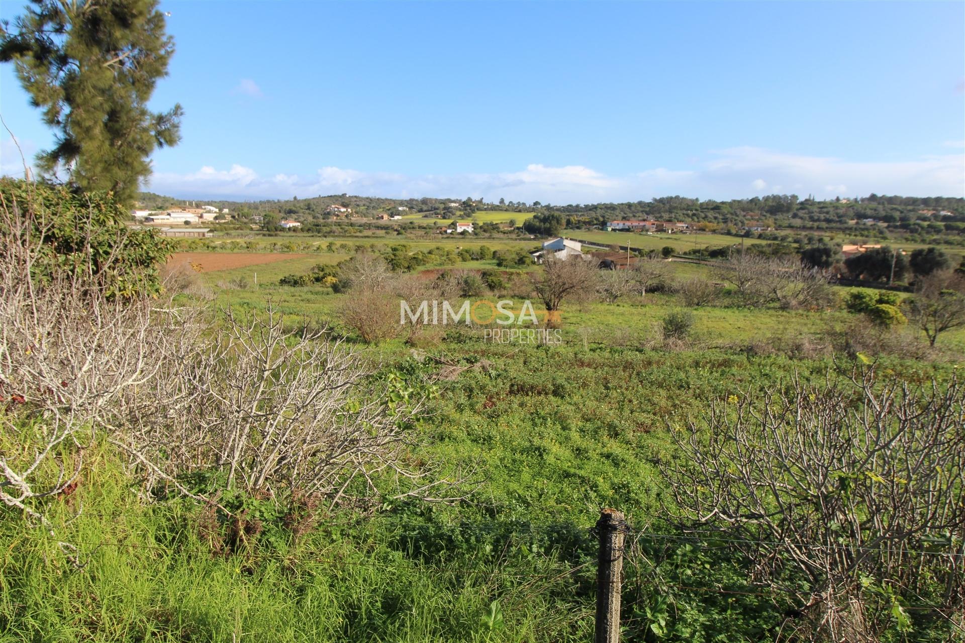 Lote para construção em Sargaçal com vistas bonitas