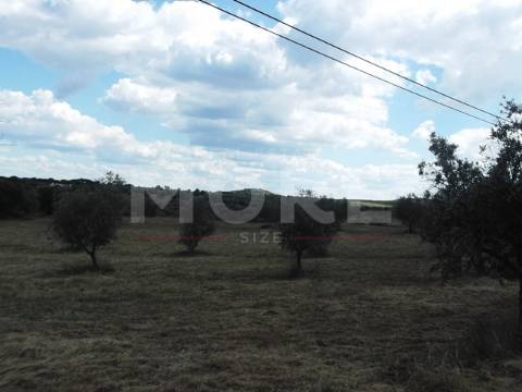 Terreno - Évora/Redondo
