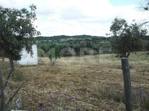 Terreno - Évora/Redondo