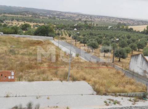 Lote de terreno - Alvito