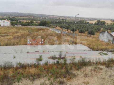 Lote de terreno - Alvito