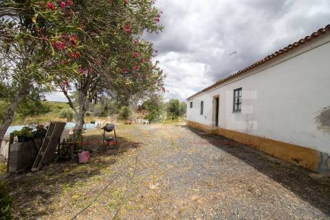 Herdade - Alvito