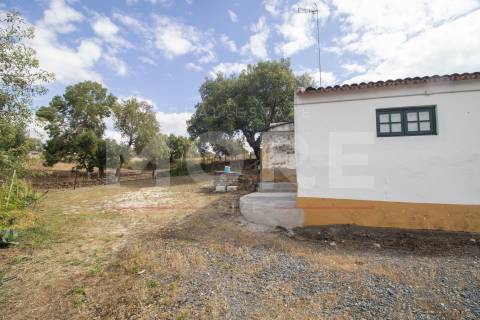Herdade - Alvito