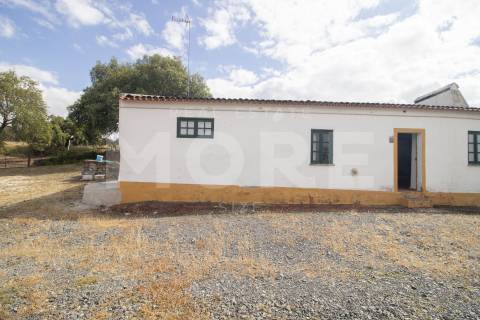 Herdade - Alvito