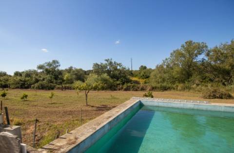 Herdade - Alvito