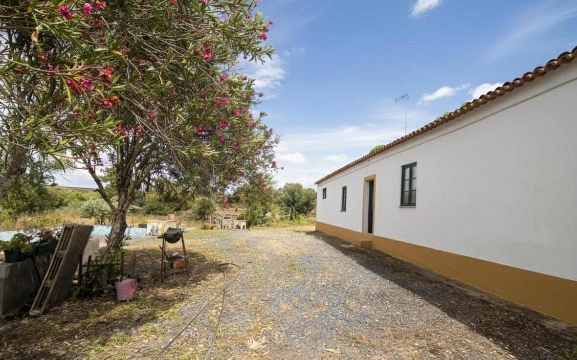 Herdade - Alvito