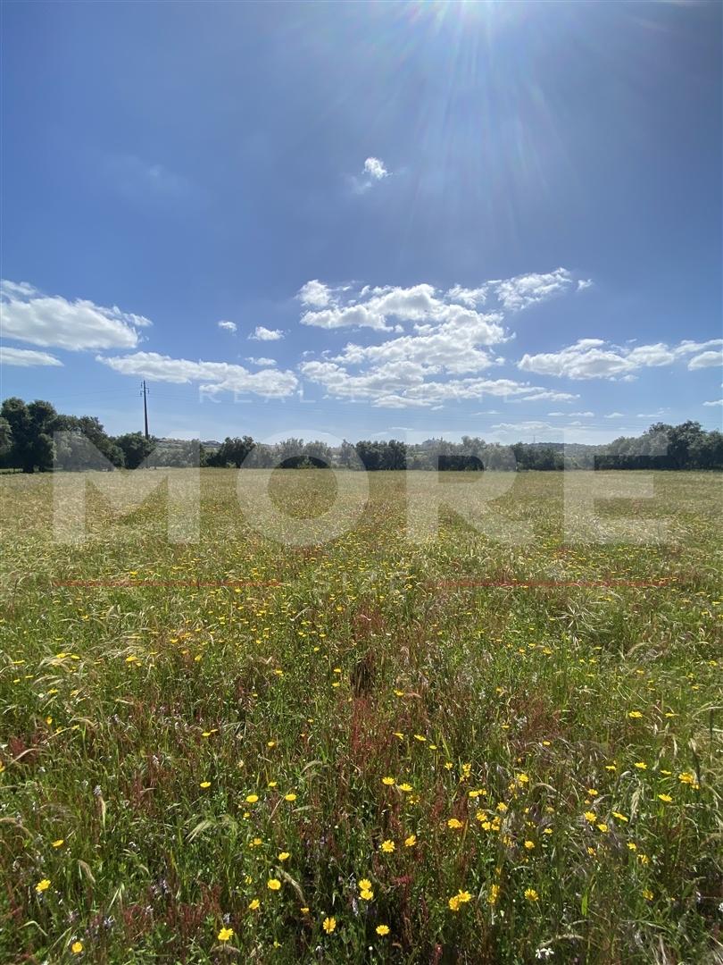 Terreno Rústico com 18.750 m² – Alcáçovas, Viana do Alentejo