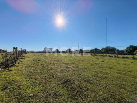 Terreno com 9500 m² – Évora