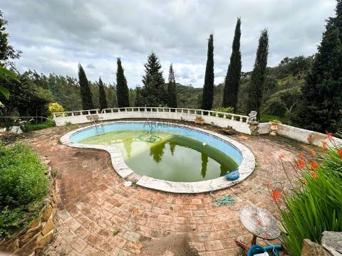 Casa de Campo Tradicional - 10 hectares - Piscina - Mexilhoeira Grande - Portimão