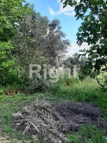 Moradia T3 com magnífico terreno em Santarém
