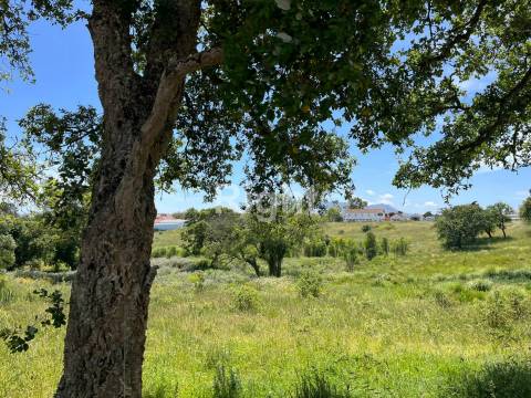 Terreno com 51.000m2 em Algueirão-Mem Martins